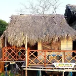 Beautiful Cabaña facing the Caribbean Sea!