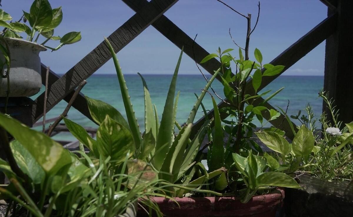 Beautiful Facing The Caribbean Sea! * Cartagena